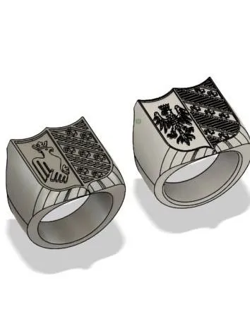 Modelo 3D del anillo sello con escudo en el programa de diseño